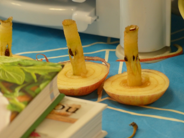 Když je práce zároveň zábavou