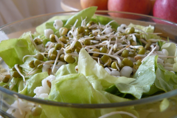 Křupavý detoxikační salát se slzovkou a mungo klíčky